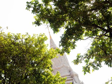 Ağaçların arasından yükselen Gümüş Pagoda kompleksinin beyaz kulesi - Phnom Penh, Kamboçya