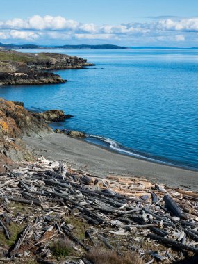 San Juan Adası, WA, ABD 'deki Güney Sahili' nin güzel kıyı manzarası.