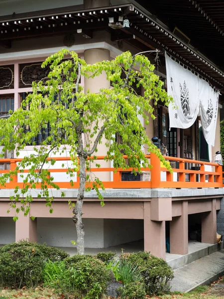 Matsuyama Préfecture Ehime Japon Avril 2018 Sur Terrain Yasakaji Temple — Photo