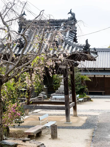 Matsuyama Ehime Prefecture Japan Квітня 2018 Території Jodoji Храм Номер — стокове фото
