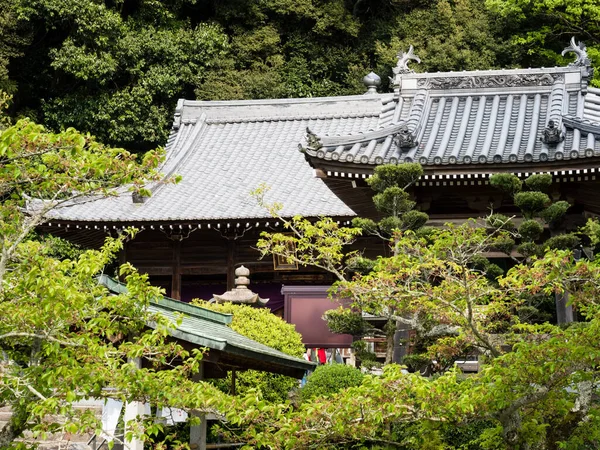 Matsuyama Prefeitura Ehime Japão Abril 2018 Terreno Hantaji Templo Número — Fotografia de Stock