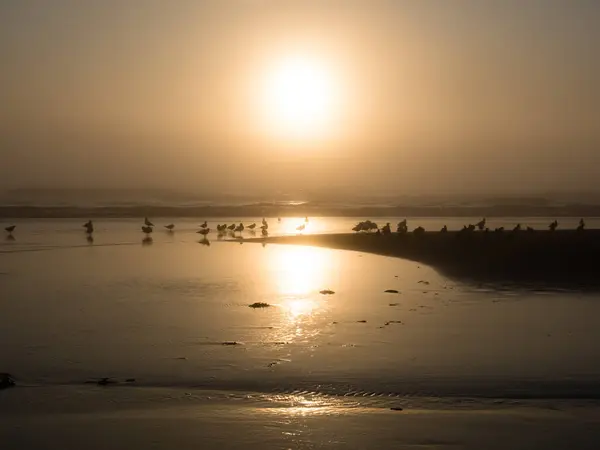 Foggy Sunset North Jetty Beach Ocean Shores Usa — Stock Photo, Image