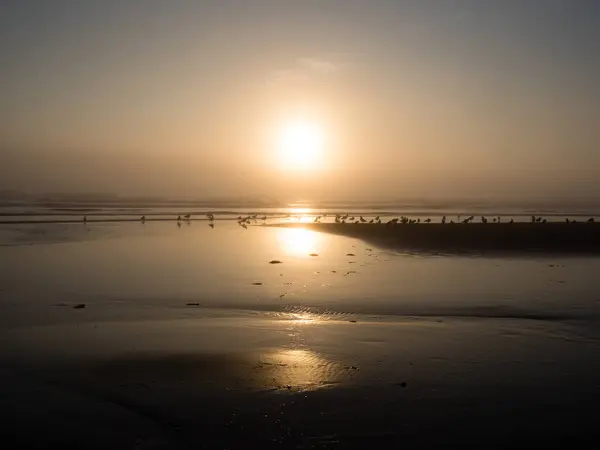 Nebeliger Sonnenuntergang North Jetty Strand Ocean Shores Usa — Stockfoto