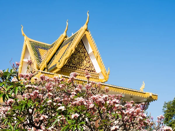 Rosa Flores Frangipani Contra Telhados Palácio Real Camboja — Fotografia de Stock