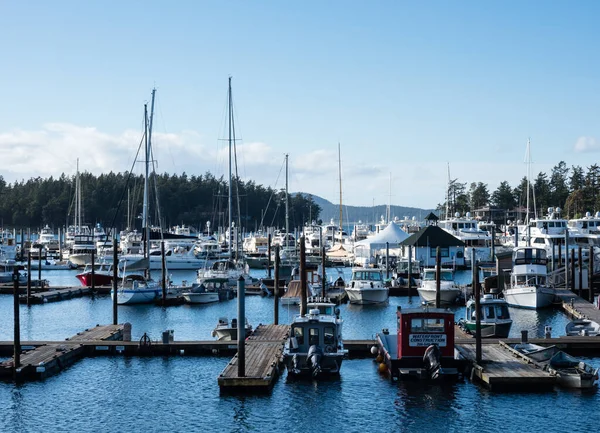 Roche Harbor San Juan Island Usa Квітня 2019 Вид Roche — стокове фото