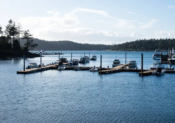 Roche Harbor San Juan Island Usa Квітня 2019 Вид Roche — стокове фото