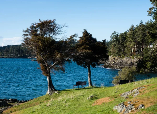 Sunny Afternoon San Juan County Park San Juan Island Usa — стокове фото