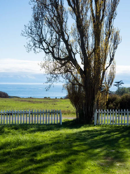 Friday Harbor Estados Unidos Abril 2019 Vistas Panorámicas Parque Histórico — Foto de Stock