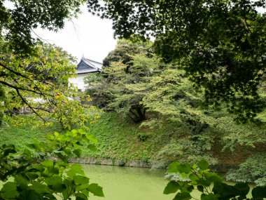 Arka planda eski Edo kalesinin beyaz kulesiyle Ushigafuchi hendeği manzarası - Tokyo, Japonya