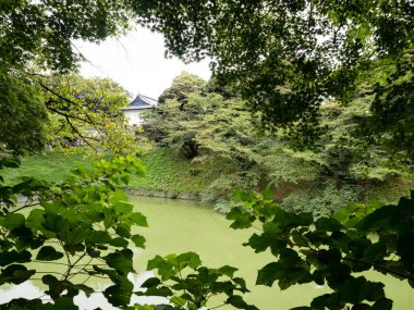 Arka planda eski Edo kalesinin beyaz kulesiyle Ushigafuchi hendeği manzarası - Tokyo, Japonya