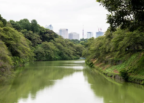 View Chidorigafuchi Moat Summer Tokyo Japan — Stock Photo, Image