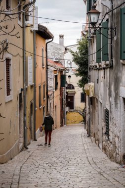 Dar ve dik, taş döşeli, Hırvatistan 'ın Rovinj kentinin eski sokakları renkli evlerle dolu