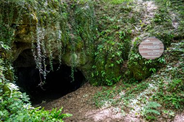 Entry in the lower Barac cave, Croatia, hidden in the rocky mountain overgrown in ivy and foliage