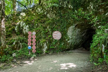 Entrance in the upper Barac cave, Croatia, hidden in the rocky mountain overgrown in ivy and foliage