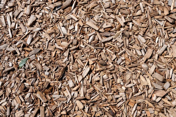 Mulch Covvering Garden Path Keep Mud Moisture — Stock Photo, Image