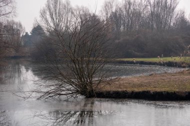 İtalya 'da Veneto bölgesindeki Verona yakınlarında bir lagün parkı.