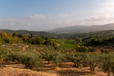 Landscape panorama from Tuscany, in the Chianti region. Italy. High quality photo