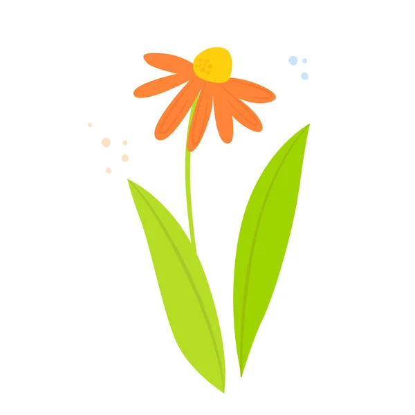 Помаранчева квітка, ромашка — стоковий вектор