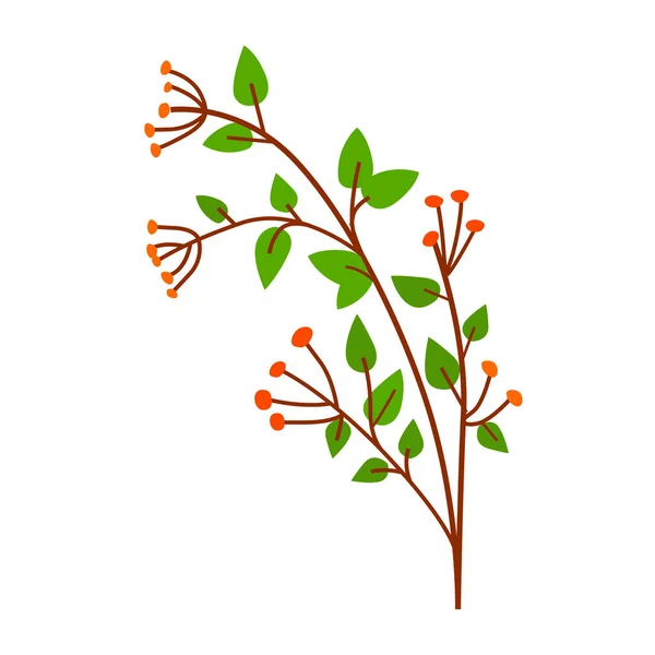 赤い果実のある緑の枝 — ストックベクタ