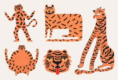 Çizgi film kaplanlarıyla vektör ayarlandı. Moda koleksiyonu, giysi baskısı tasarım şablonları, logo, tebrik kartı, takvim, çizgi film stili hayvanların olduğu kutlama tipografi posterleri.