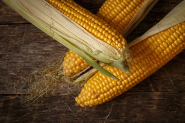 Kırsal ahşap masadaki koçandaki taze mısır. Yaklaş. Lezzetli ve sağlıklı yemekler..