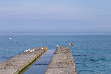Karadeniz kıyısında güneşli, rüzgarsız bir Eylül günü