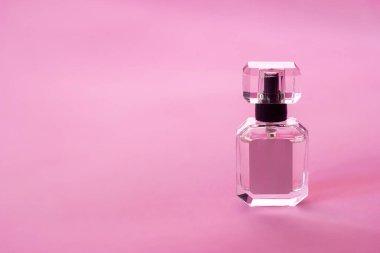 Pembe bir arka plan, parfüm ve aromaterapi üzerine şeffaf bir şişe parfüm eau de tuvalet, metin için kopyalama alanı