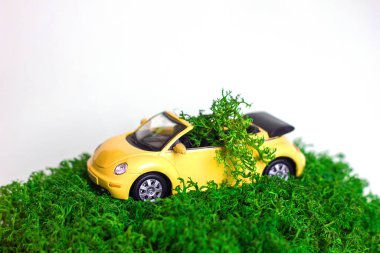 Small car toy model yellow on green grass, delivery of greens and organic natural products, healthy healthy nutrition and vitamins, selective focus