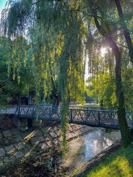 Krásná Krajina Most Přes Řeku Jezera Pozadí Vrb Krásná Místa — Stock fotografie