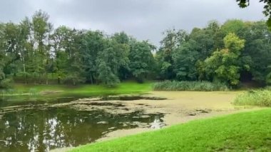 Şehir parkındaki güzel manzara gölü park alanındaki idoma, Lviv ve Ukrayna 'nın güzel doğası, temiz hava çevre dostu konaklama, seçici odaklanma