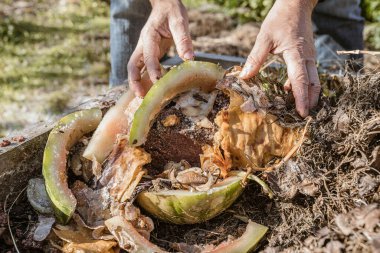 Bahçıvanın elleri, kır evinin arka bahçesindeki gübre yığınının içindeki yiyecek atıklarını ayırıyor.