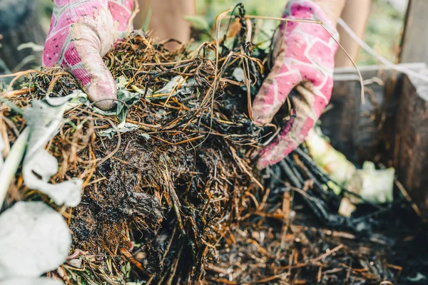 Gardener Hands Gardening Gloves Sorting Compost Heap Humus Backyard Recycling — Stock Photo, Image