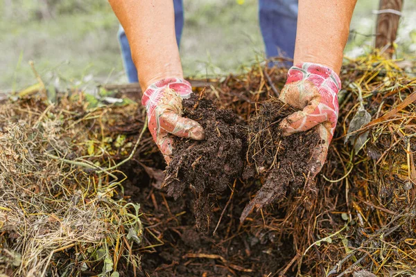 Composting Food Waste Enrich Soil Gardener Hands Gardening Gloves Sorting — Stock Photo, Image