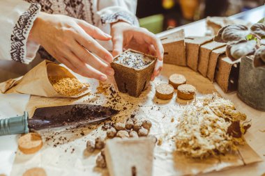 Yerin üstüne kar katmanı ekerek tohum katmanı oluşturma süreci. Etnik işlemeli gömlek giymiş bahçıvanın elleri kağıt ekolojik çömleğe tohum ekiyor. Daha iyi tohum filizlenmesi için saksıda kar tabakasında.