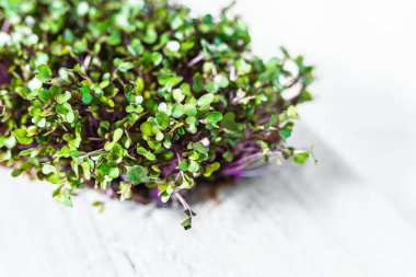 Mor kohlrabi lahana lahanası beyaz ahşap masa üstü dokusunda mikro yeşillikler. Yumuşak odaklanma. Diyet, C vitamini, karoten, phytoncides, tansiyon düşüşü. Sağlıklı yemek, ev yapımı salata malzemesi. Sağlıklı gıda ürünleri mikro yeşiller