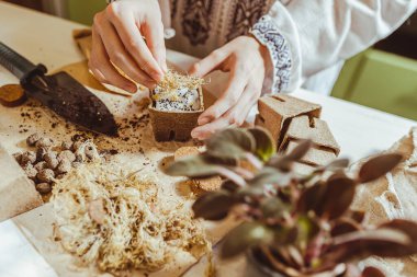 Yerin üstüne kar katmanı ekerek tohum katmanı oluşturma süreci. Etnik işlemeli gömlek giymiş bahçıvanın elleri kağıt ekolojik çömleğe tohum ekiyor. Daha iyi tohum filizlenmesi için saksıda kar tabakasında.