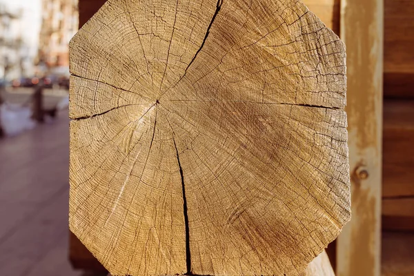 亀裂と木の乾燥した放射状のカットのテクスチャ 治癒の概念は皮膚を割れ 単色の割れた木の質感茶色の木の放射状の木をカット — ストック写真