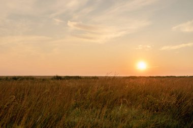 Gün batımında ya da şafakta bozkırda ya da tarlalarda sıcak yaz sahnesinde. Doğanın sükuneti. Bozkırda kızgın gün doğumu