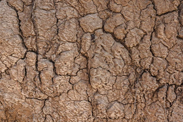 Karge Sonnengetrocknete Erde Mit Versteinerter Oberflächenkruste Rissige Trockene Textur Brauner — Stockfoto