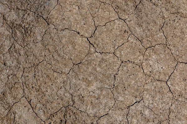 褐土干裂的纹理 脱水的土壤 与干枯的植物残留物 无缝地背景 裂缝分布均匀 巴伦太阳晒干的土地 表面有石化的地壳 — 图库照片