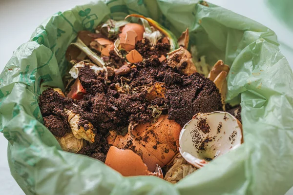 Food waste in ecological plastic bag. Waste sorting for recycling into compost. daily food waste eggshells, coffee grounds and tea leaves. Waste sorting at home