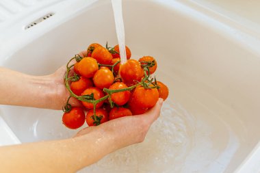 Taze vişneli domatesler, mutfak lavabosunda akan suyun altında durulamak. Suyun altında taze toplanmış domatesleri tutan bir kadının elleri. Olgun kırmızı domateslerden su damlaları akar, dişi eller taze sebzeleri yıkar.