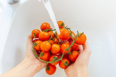Taze vişneli domatesler, mutfak lavabosunda akan suyun altında durulamak. Suyun altında taze toplanmış domatesleri tutan bir kadının elleri. Olgun kırmızı domateslerden akan su damlaları