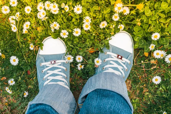 Legs Gumshoes Denim Trousers Grass Spring Summer Daisies Ecological Natural — Zdjęcie stockowe
