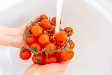 Taze domatesleri musluğun altındaki yeşil saplarla yıka, el ele tutuşarak. Yumuşak odaklanma. Kadın eli domatesleri yıkar. Suyun altındaki domates dalıyla. Taze ev yapımı sebze. Böcek ilacı yok..