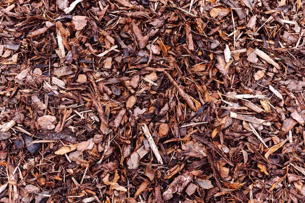 texture of brown wood chips, various fractions, seamless background, natural natural recycled material for soil mulching. Close-up of sawdust, recycled material use