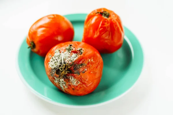 Moldy spoiled tomato. rotten spoiled red tomatoes on plate. Spoiled food, harmful poisonous foods