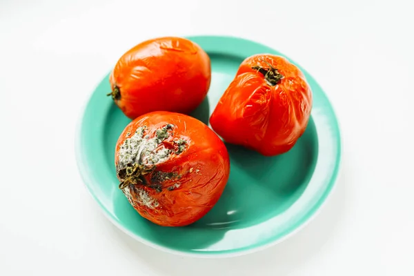 Bozuk Mantarlı Yemekler Zehirli Mantarlı Kırmızı Domatesler Eski Lycopersicon Atıkları — Stok fotoğraf