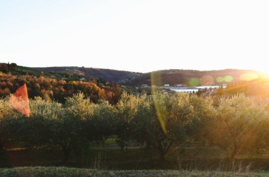 Kış tatilinde mavi Adriyatik Denizi ve gökyüzüne karşı Alp dağlarının harika manzarası. Slovenya ve Strunjan