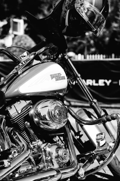 Portoroz Eslovénia 2022 Cool Bikers Festival Harley Davidson Exposição Bloco — Fotografia de Stock